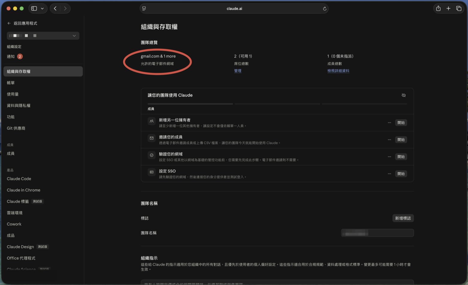 Team overview with the "Allowed email domains" field circled