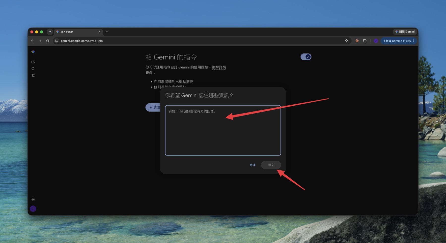 Gemini's instruction input box