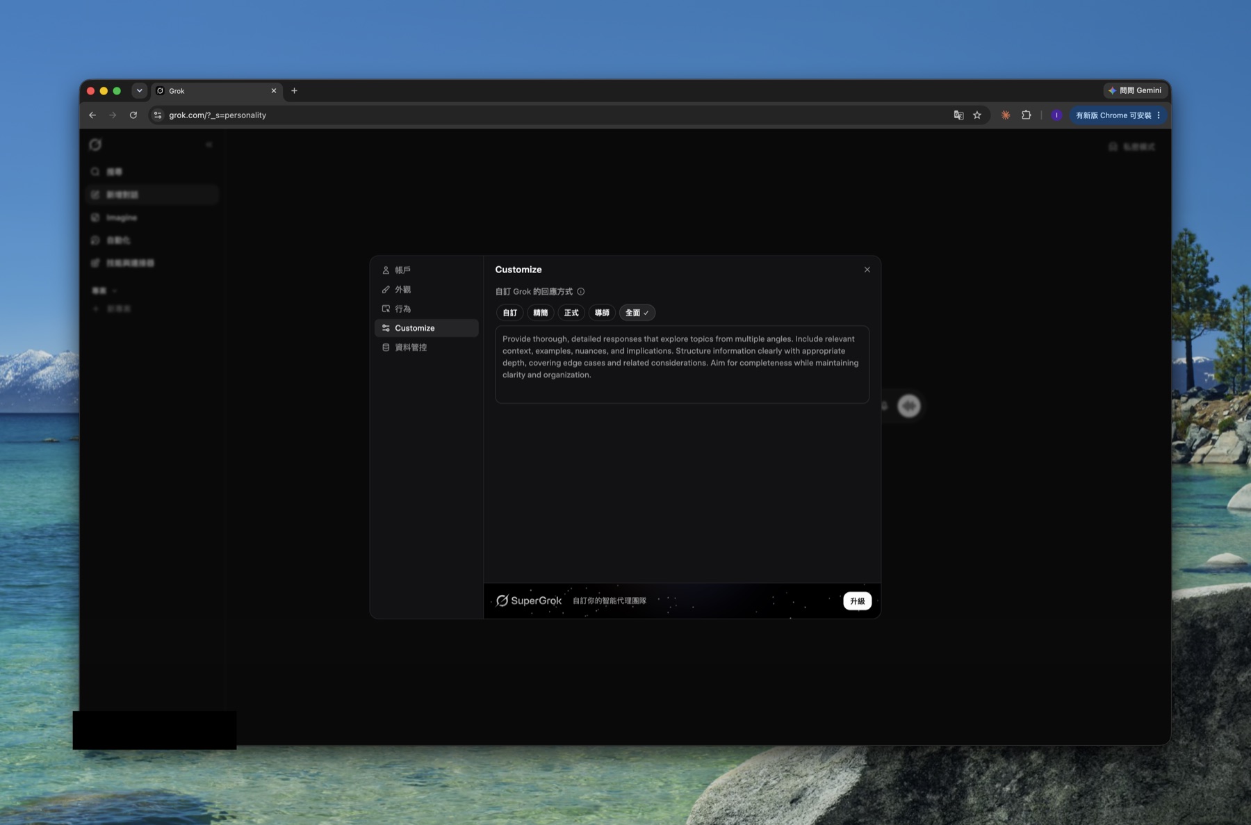 Grok Customize showing the content a preset fills in