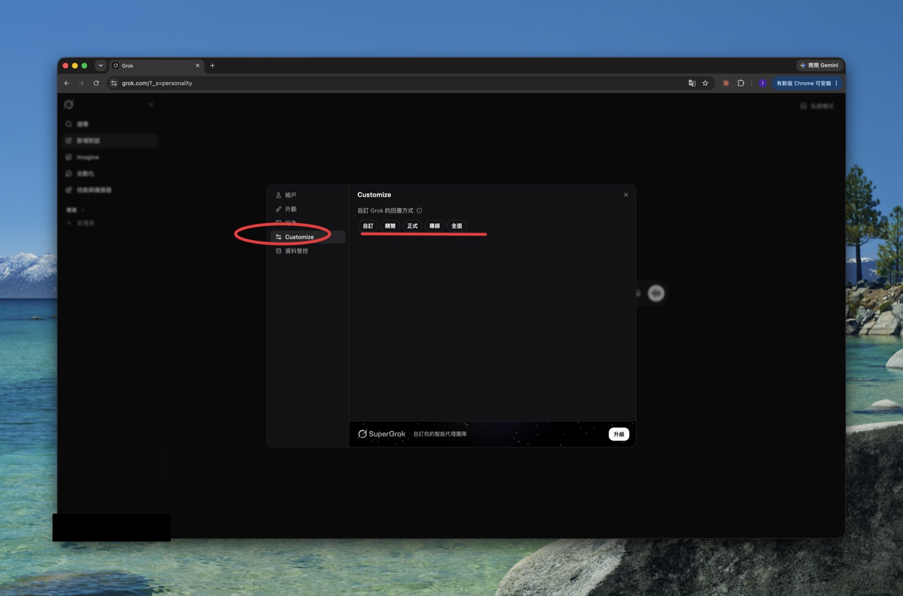 The Customize tab in Grok's settings
